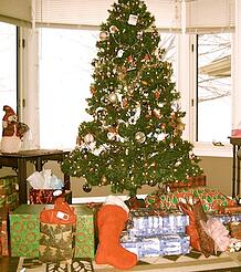 aquin_tree