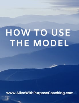 How to use the model cover (1)